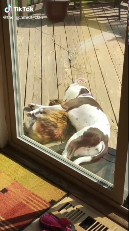thenatsdorf:  I want a cuddle. (via)
