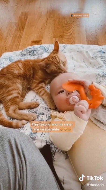 thenatsdorf:Baby and cat love each other. (via)