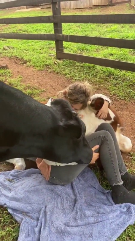 hellakhaos:  everythingfox:  Cow cuddles(via) porn pictures