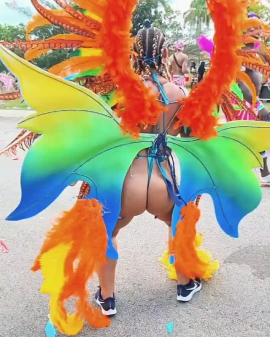 carnaval-pics-vids: