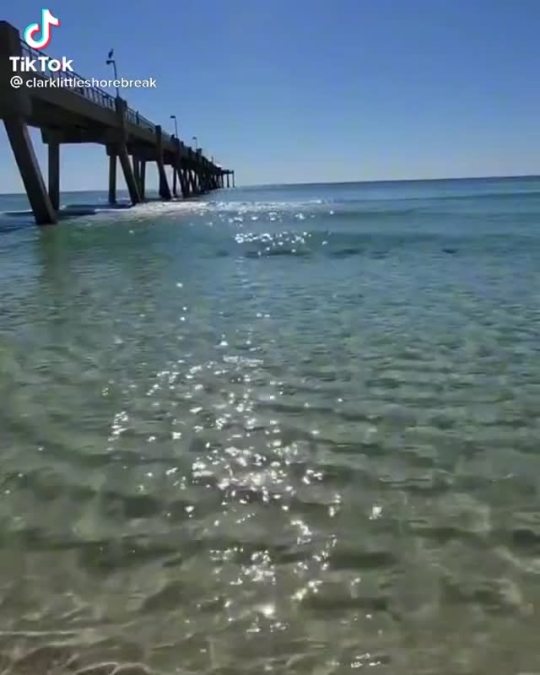 surfgirl66: