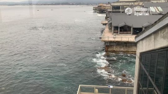 montereybayaquarium:montereybayaquarium:The King Tides washed over Cannery Row this time last week—watch Monterey Bay rise and fall 8.5 feet through some of the largest tidal swings of the year in this timelapse from the Aquarium’s back deck!Thanks