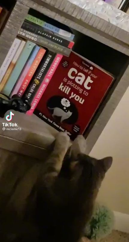 tikkety-tok: