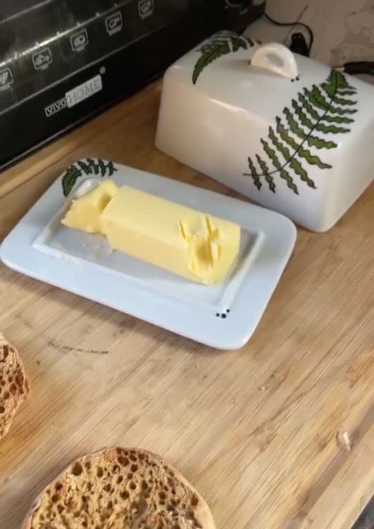 the-thinkingcat:crazy-brazilian:Rating: Yellowcats do love butter! it has lots of