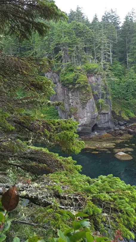 frommylimitedtravels:Cape Flattery during a light rain. Making me miss home 