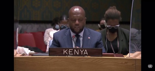 vinasse:camelotsheart:An amazing speech by Kenya at the UN Security Council   regarding