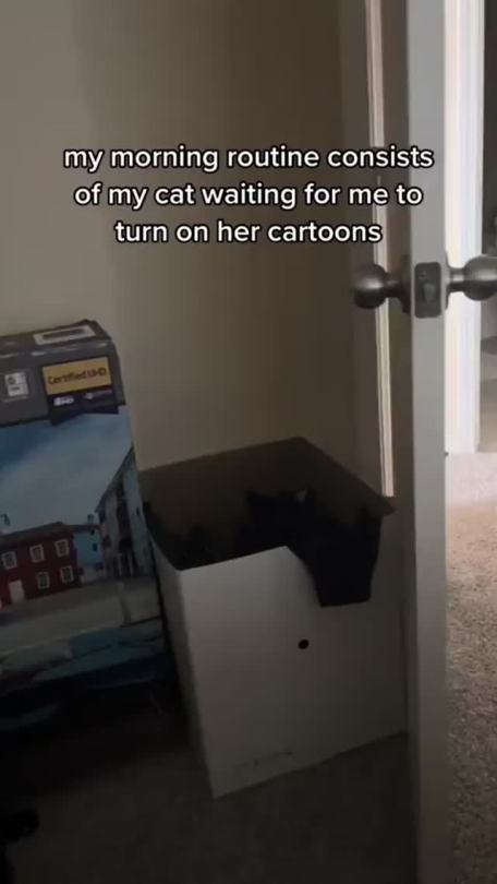 everythingfox:(via)