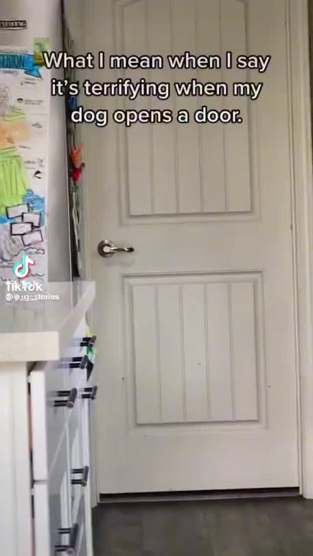 capybara:home-assistant-shapes:tiktoks-we-like: 