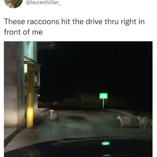 flyingiseasy-landingnotsomuch:Aww!! 