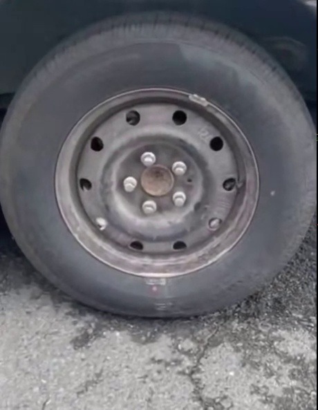 rabbitindisguise:  roach-works:wheelzle    that’s their tire now u_u