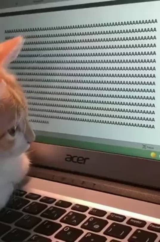 catasters: