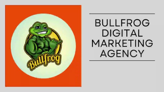 Bullfrog Digital Marketing Agency & SEO Company on Tumblr