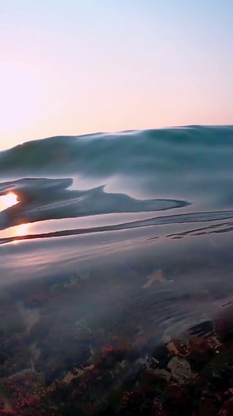 fluffygif:    Sunrise Moments