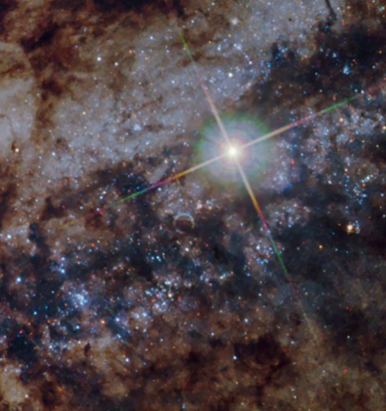 sixpenceee: Hubble saw a star exploded before its eyes  | source                            