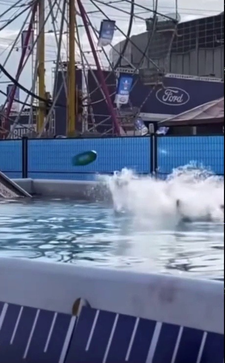 青龍王宮殿Tumbler離宮