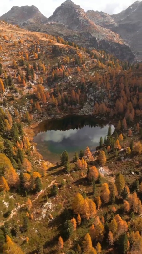 fluffygif:    Autumn in the mountains of Trentino 🍁🍂  