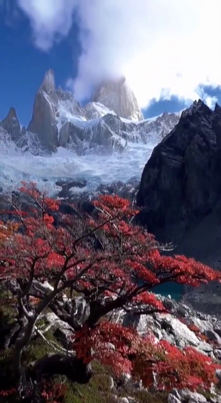 blondebrainpower:  Mount Fitz Roy Los Glaciares National Park, El Chaltén, Patagonia, Argentina.  