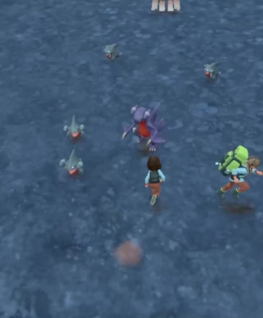 jessie:the pokeball glitched and i just slapped the shit out of this poor gabite and I can’t stop laughing