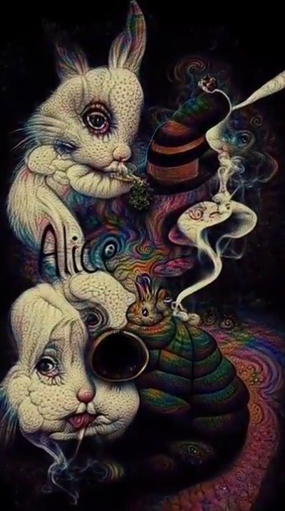 jaubaius:  🐇 Alice chased a rabbit down a hole, going there did something to her soul.down the rabbit hole she swirled, and a whole new world unfurled.Artist @le_cognito tiktokSource