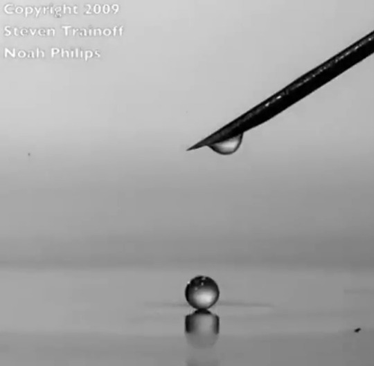 jaubaius:  “Drop of water dripping into water” process. A forgotten beautiful process that cannot be seen with the naked eye.Source