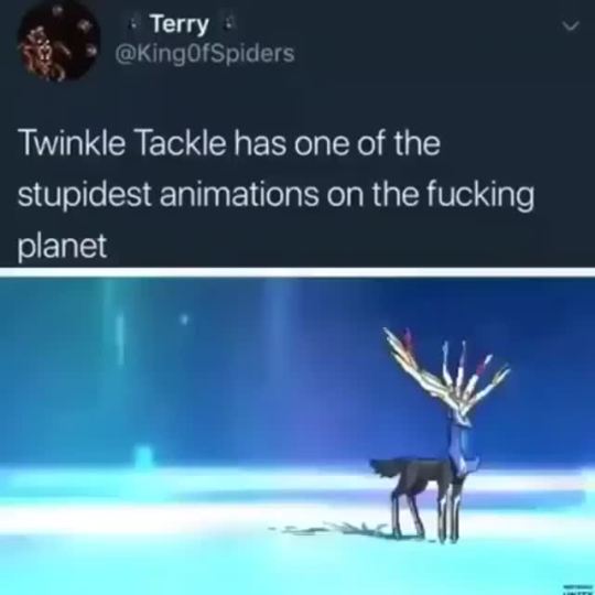 chilewithcarnage:teabree-shark:TWINKLE TACKLE