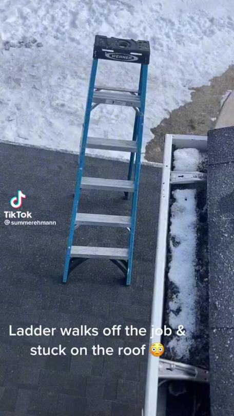 theriu:only-tiktoks:THE “STEP LADDER” JOKE AHAHAHA