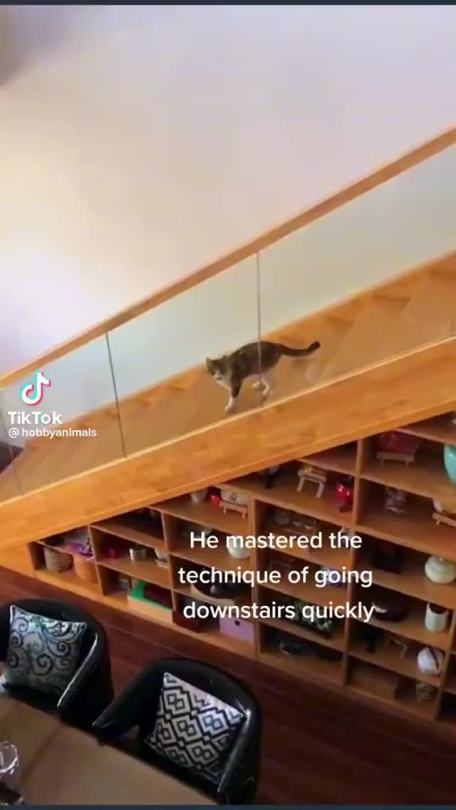 tiktoksthataregood-ish: