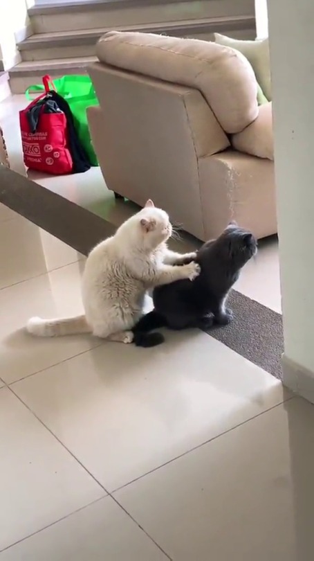 everythingfox:  A masseuse