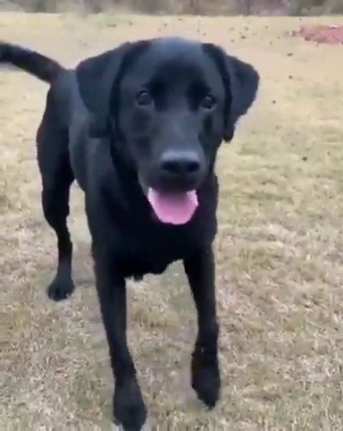 switching-to-glide:  Tippy taps