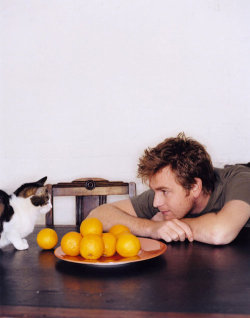 randomanimosity:  maybeitiswritten:  fuckyeahewanmcgregor:  lovelylinguist:  savethekitties: thecellardoor  YAY! I love this picture of Ewan! How frickin’ adorable.    Ewan Mcgregor   Kitties = &lt;3